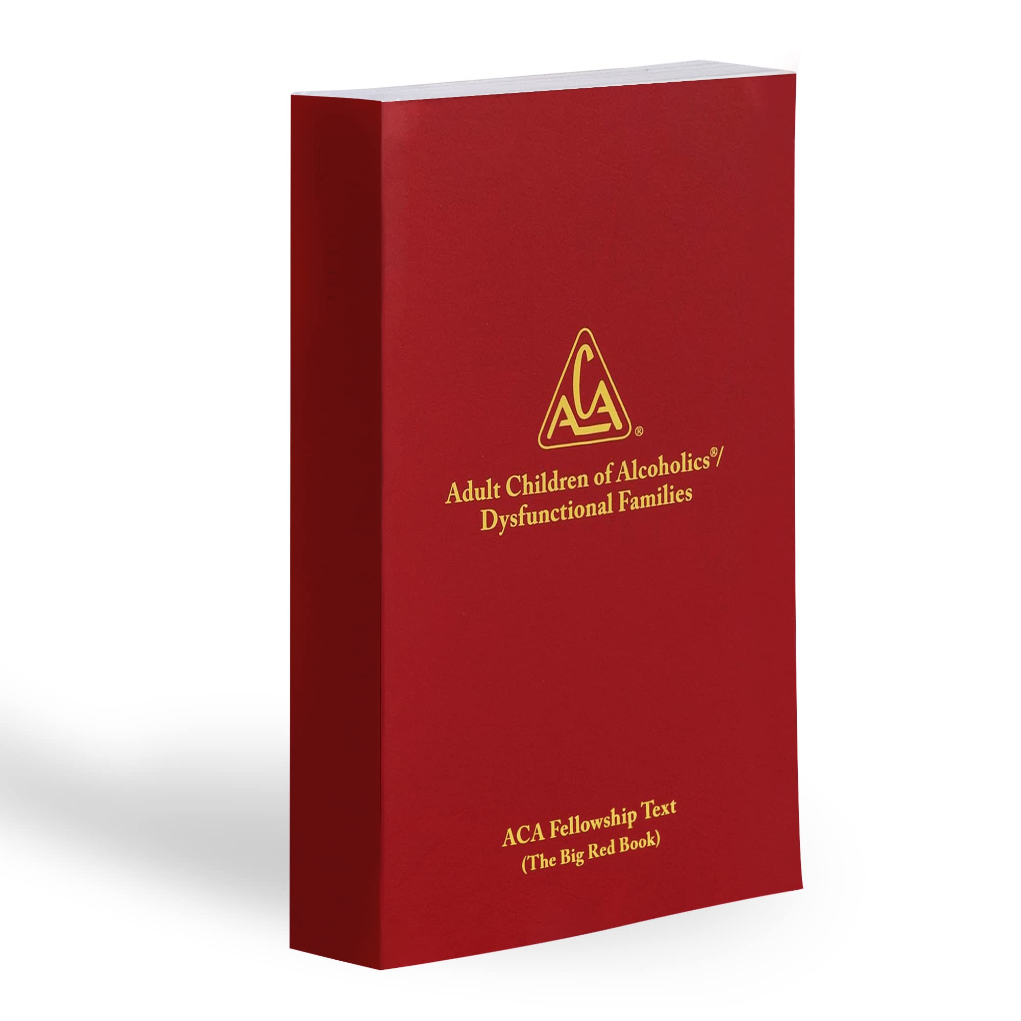 Adult Children Of Alcoholics/Dysfunctional Families: Big Red Book,New