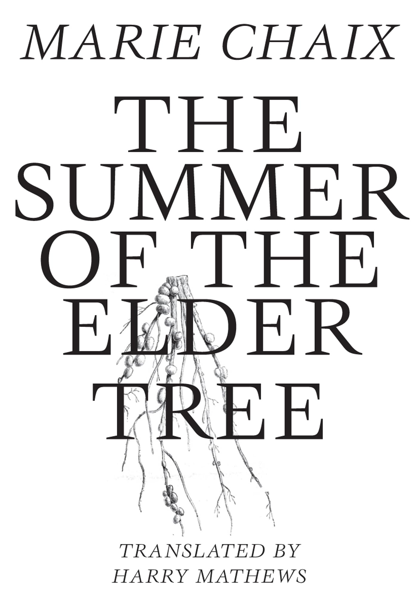 Summer Of The Elder Tree (French Literature),Used
