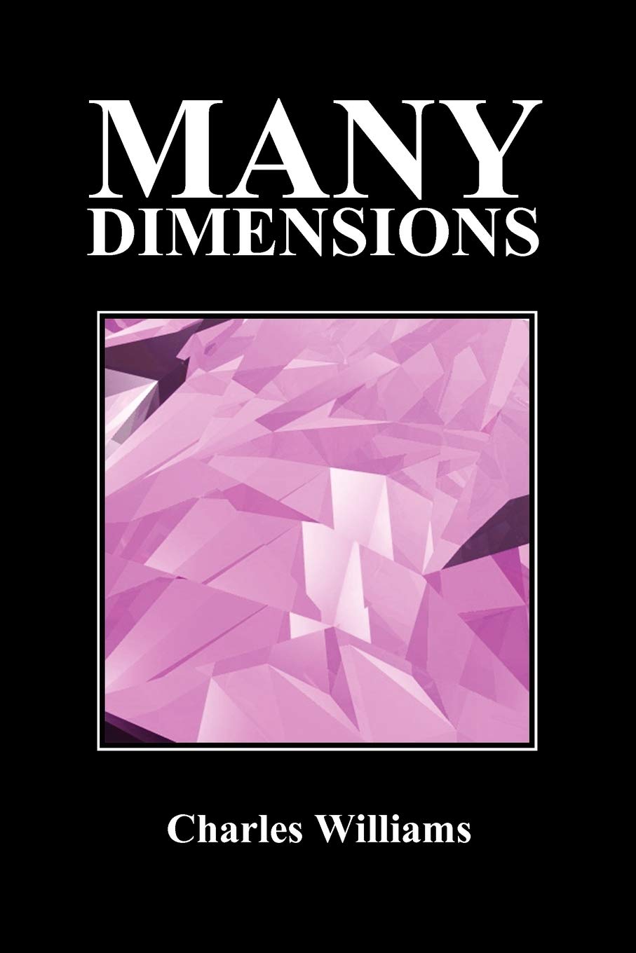 Many Dimensions (Paperback, New Ed.),Used