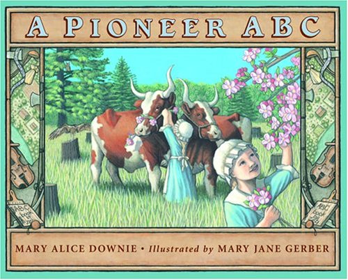 A Pioneer ABC,Used