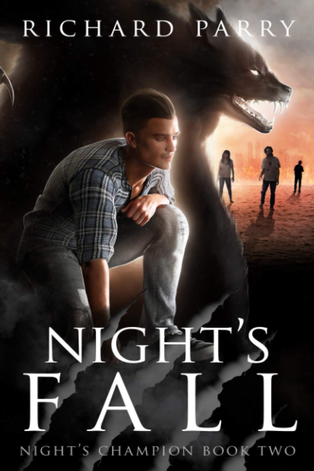 Night's Fall (Night's Champion),Used