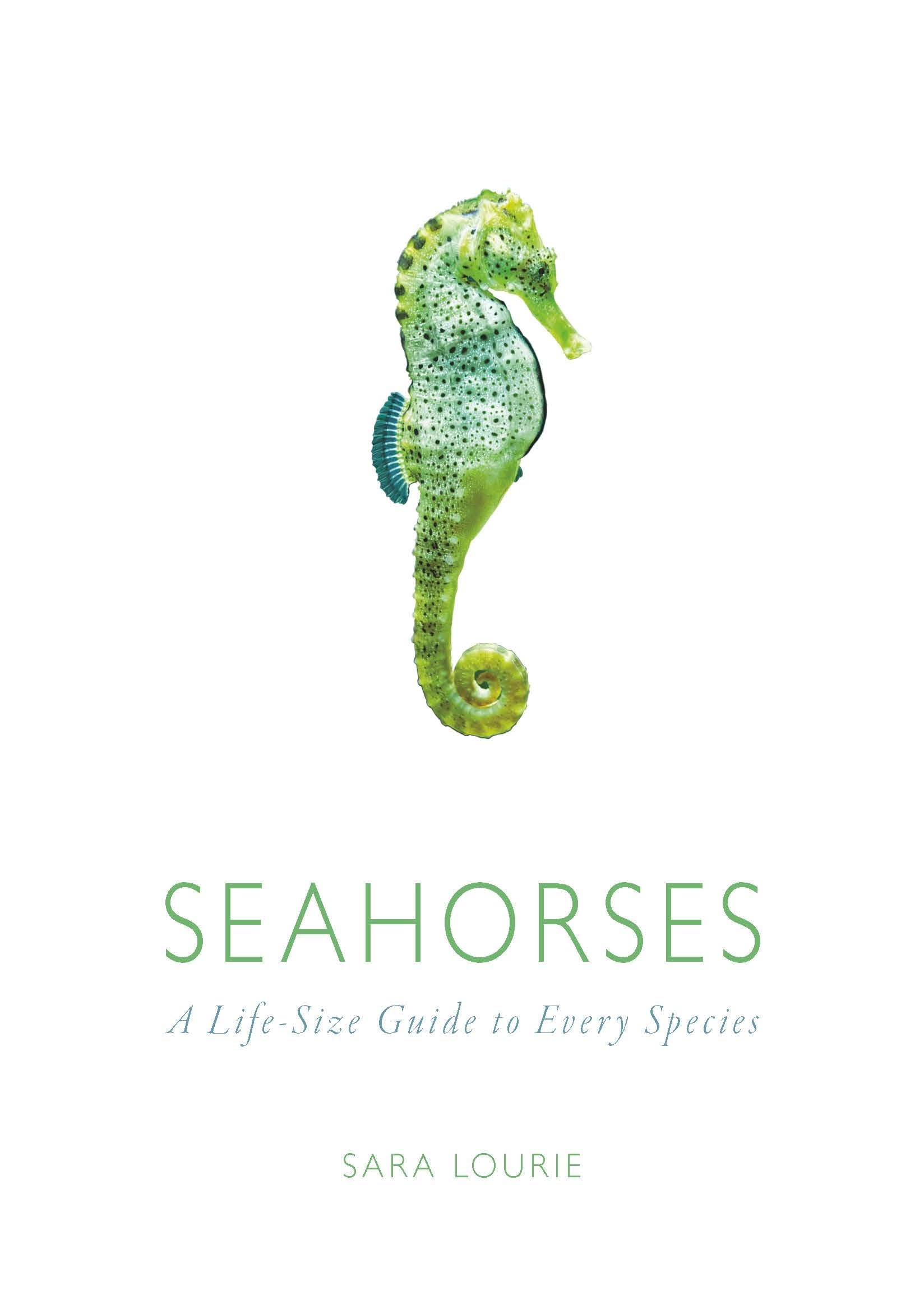 Seahorses: A Lifesize Guide To Every Species,New