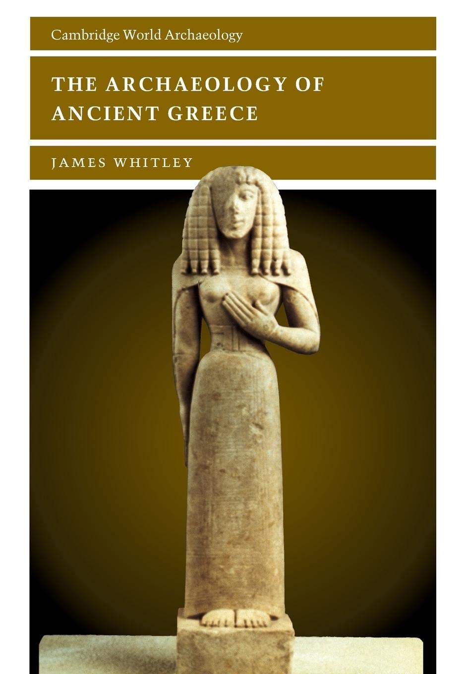 The Archaeology of Ancient Greece (Cambridge World Archaeology),Used