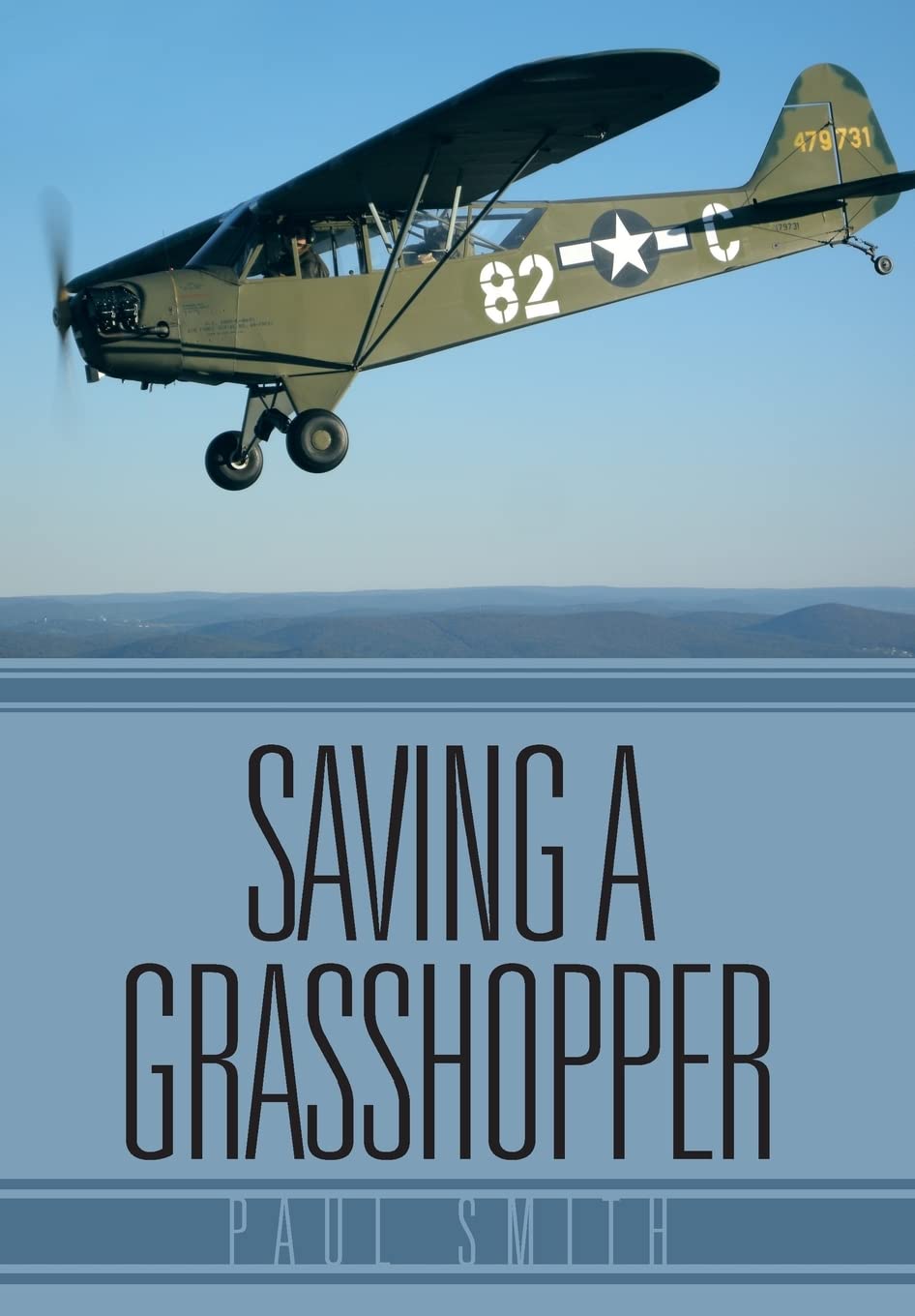 Saving A Grasshopper,Used