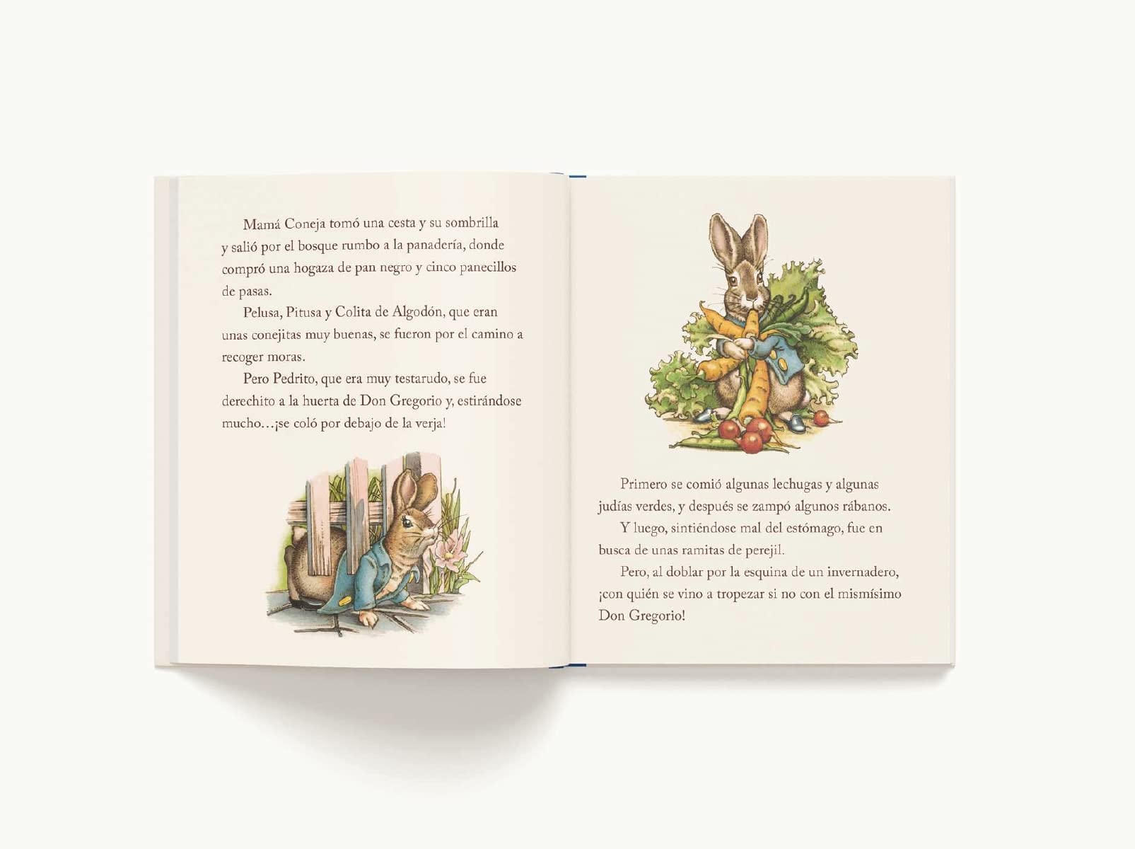 El Cuento Clsico De Pedrito, El Conejo Travieso (Little Apple Books) (Spanish Edition),Used