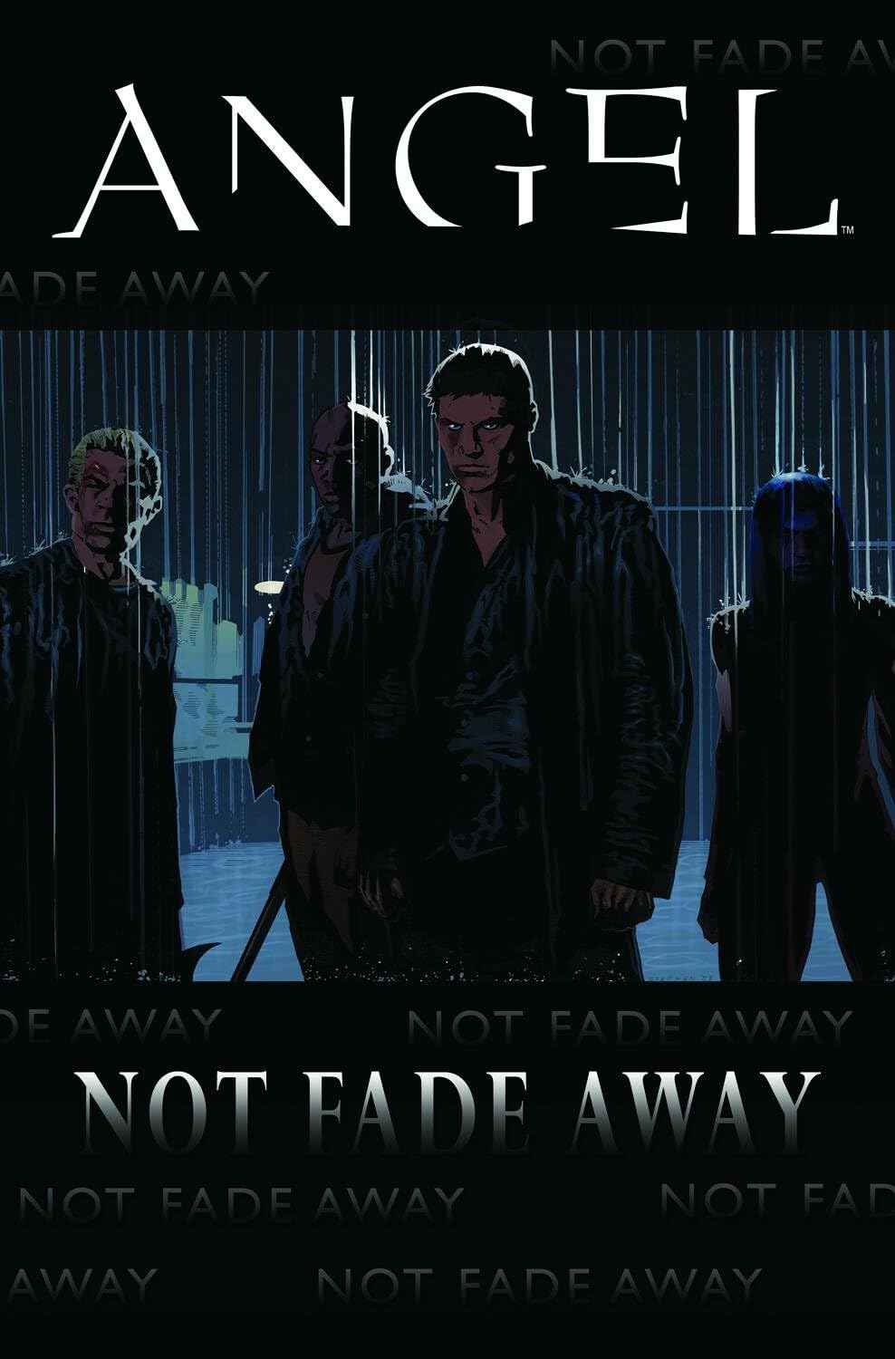 Angel: Not Fade Away,Used