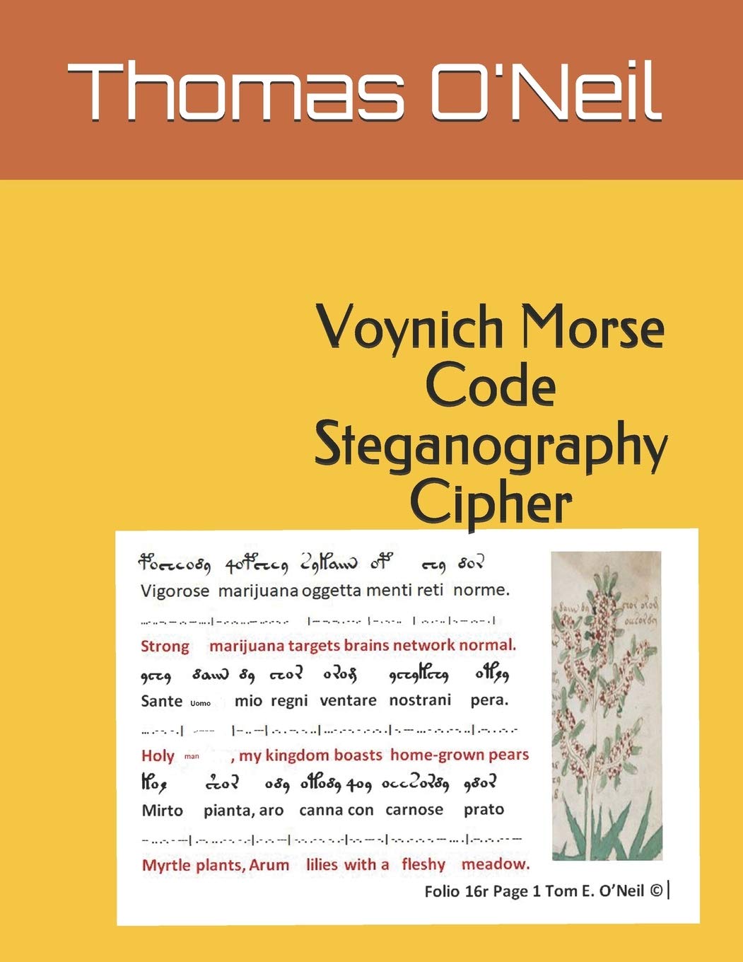 Voynich Morse Code Steganography Cipher,Used