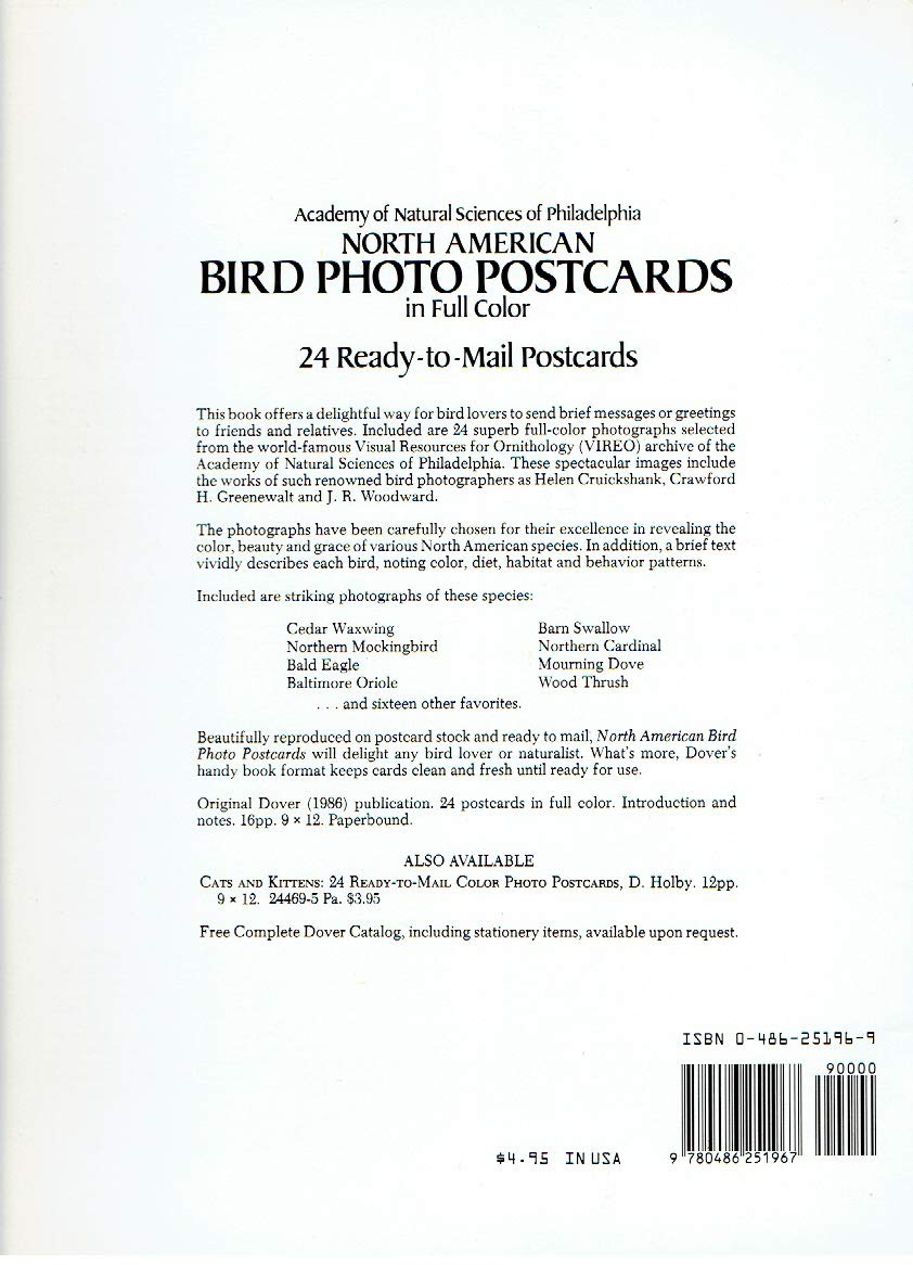 North American Bird Photo Postcards In Full Color,New