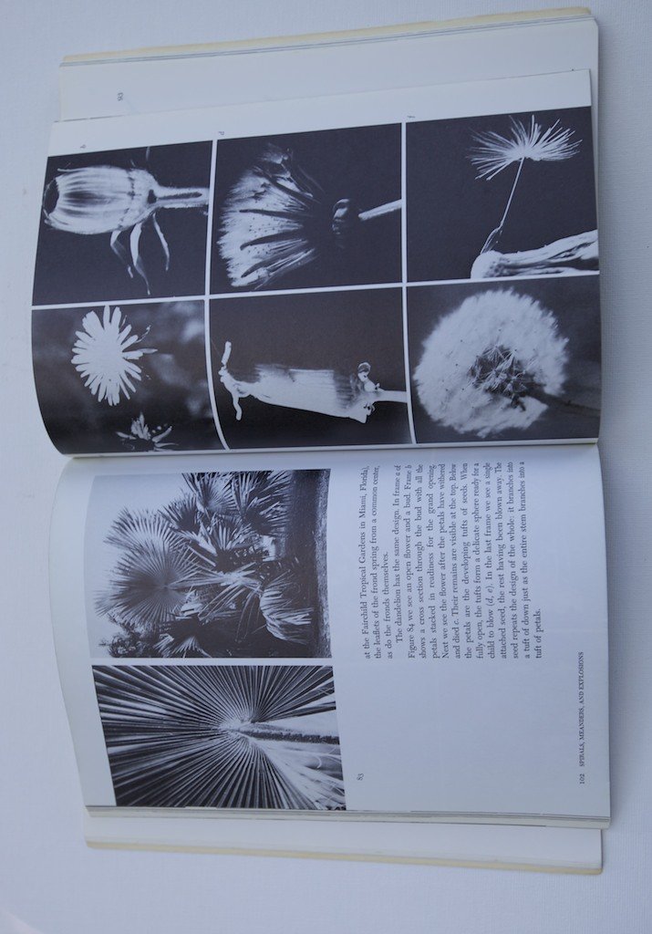 Patterns In Nature,New