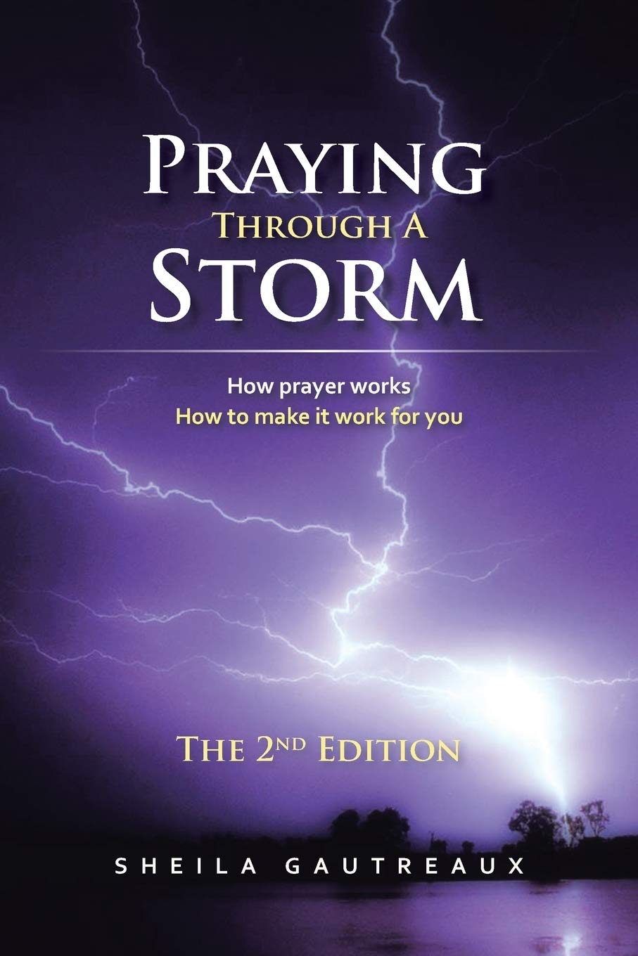 Praying Through A Storm: How Prayer Works How To Make It Work For You,Used