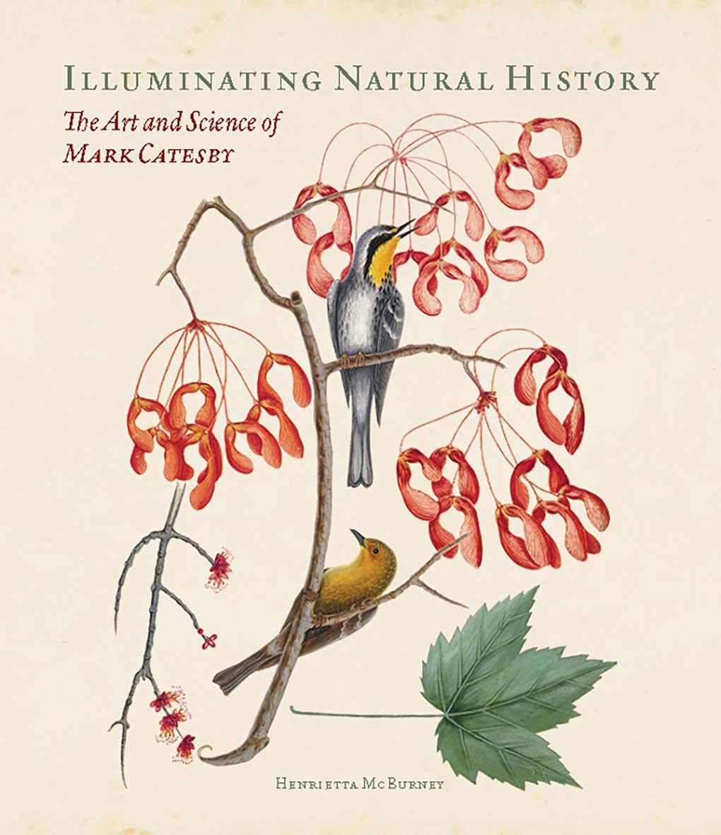Illuminating Natural History: The Art and Science of Mark Catesby,Used