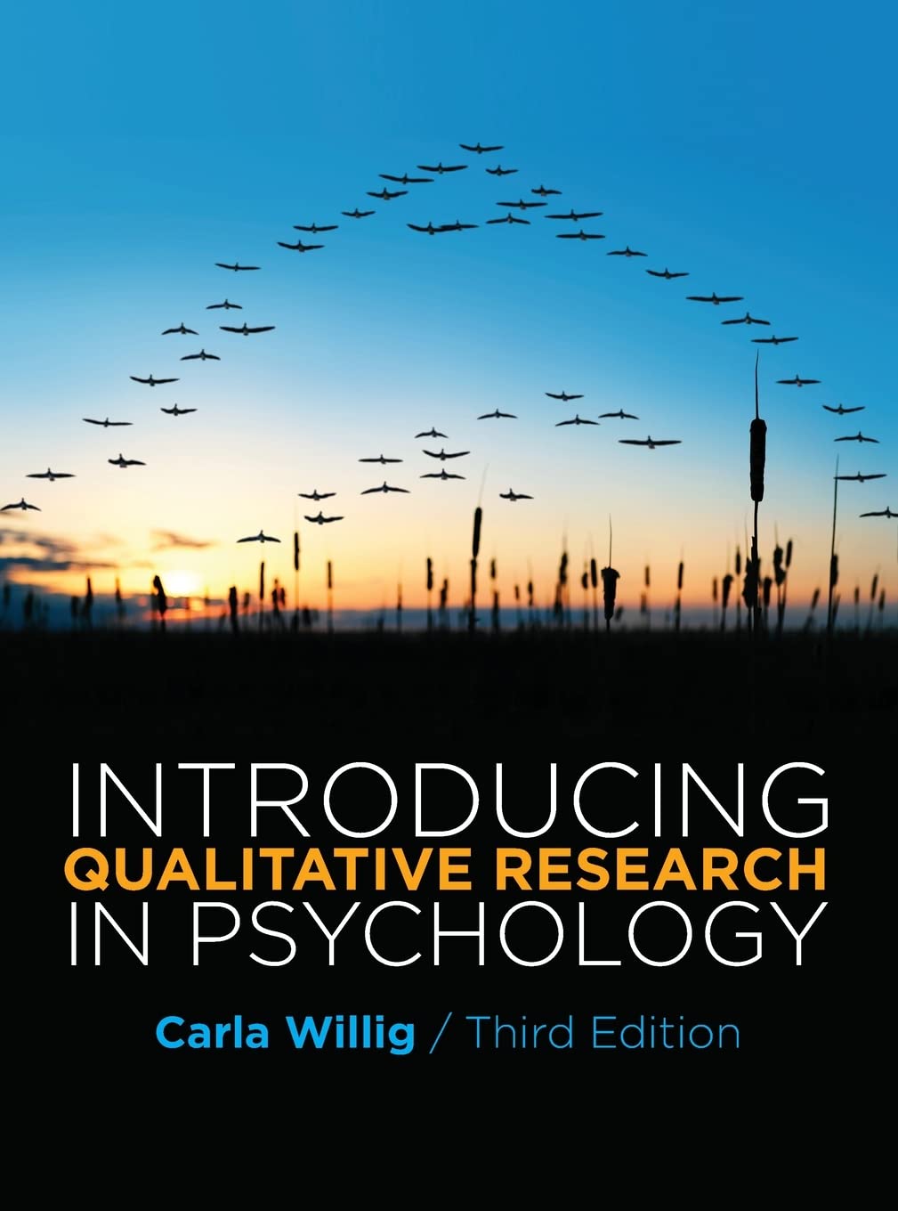 Introducing Qualitative Research in Psychology Third Edition,Used