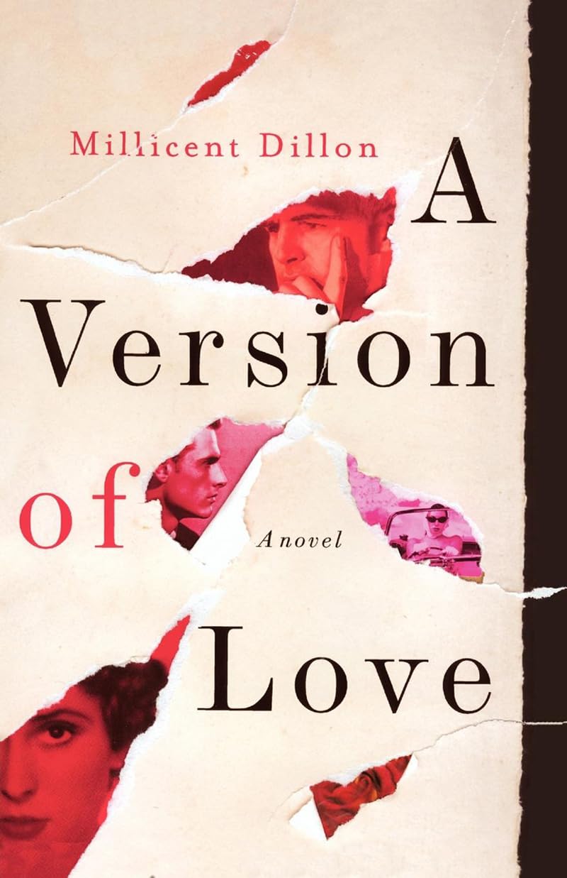 A Version of Love: A Novel,Used
