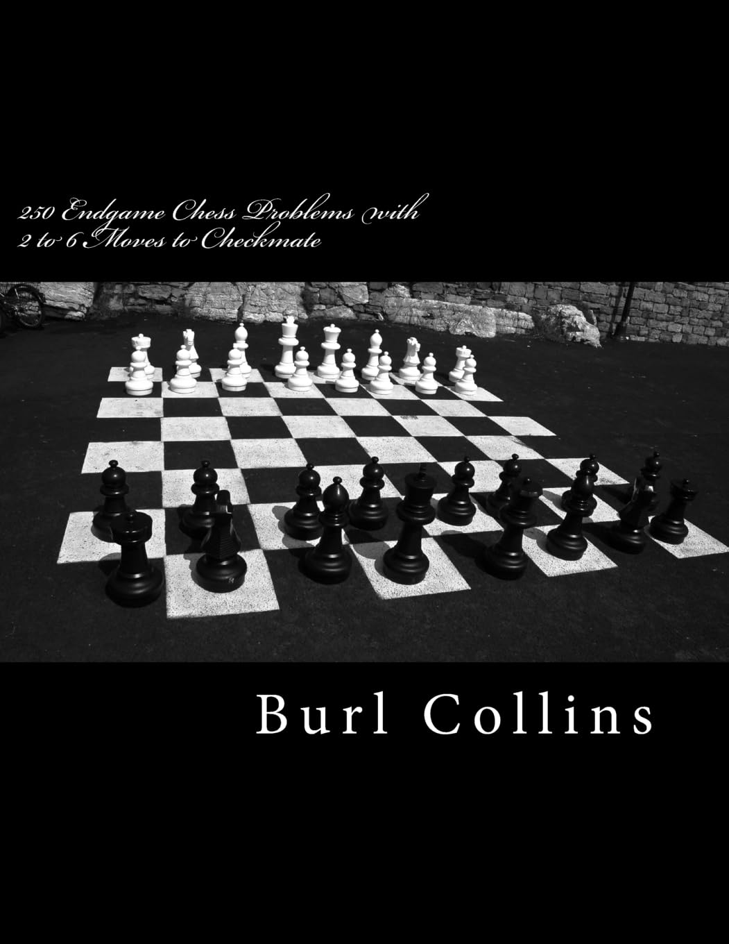 250 Endgame Chess Problems with 2 to 6 Moves to Checkmate,Used