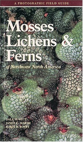 Mosses Lichens & Ferns of Northwest North America,Used