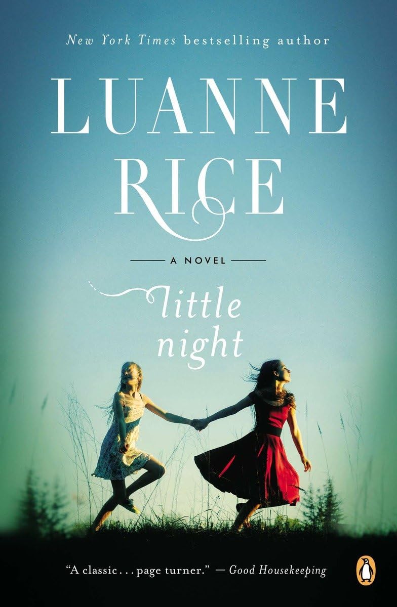 Little Night: A Novel,Used