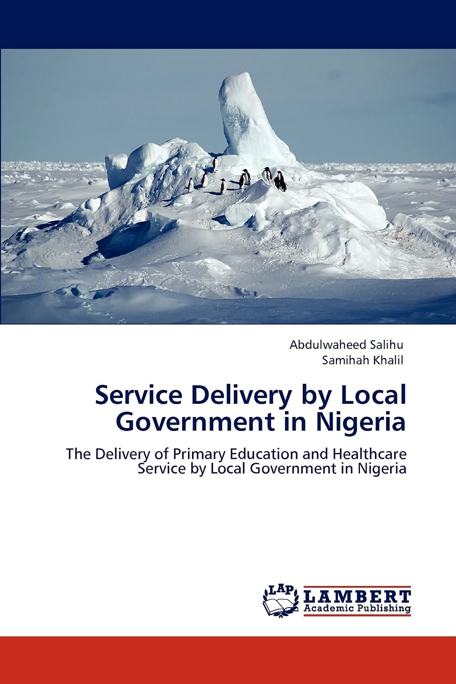 Service Delivery by Local Government in Nigeria: The Delivery of Primary Education and Healthcare Service by Local Government in,Used