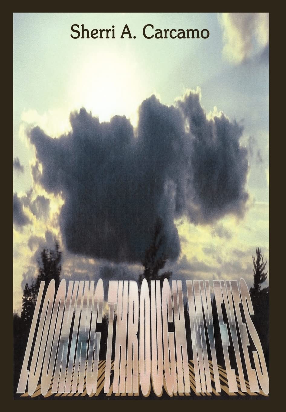 Looking Through My Eyes,Used