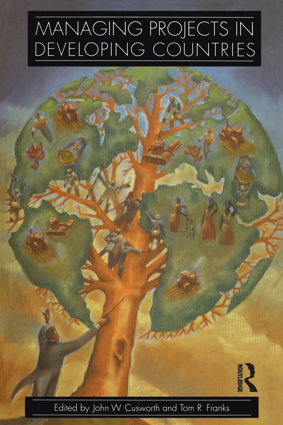 Managing Projects in Developing Countries,Used