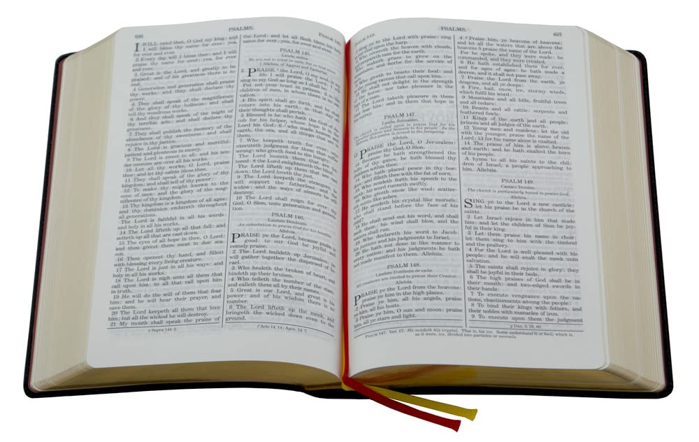 DouayRheims Bible {Standard size  Black Flex Cover},Used