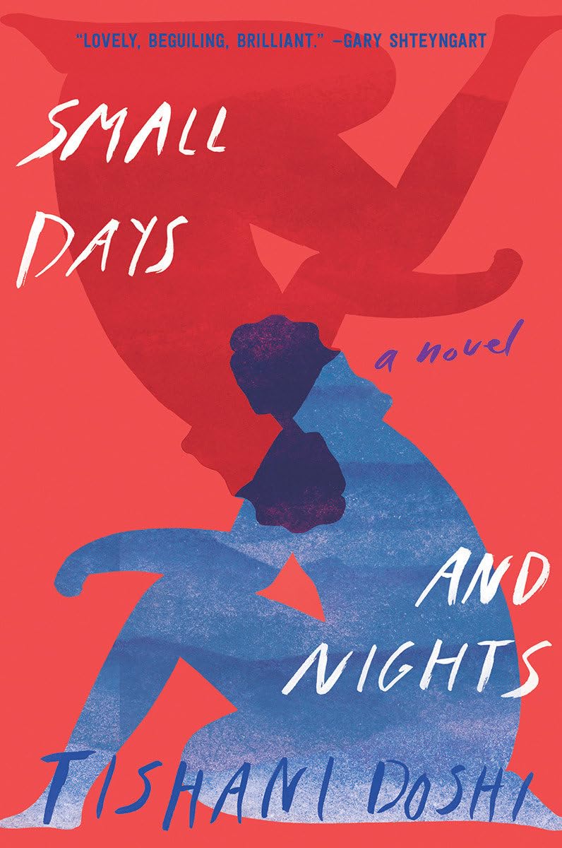 Small Days and Nights: A Novel,Used