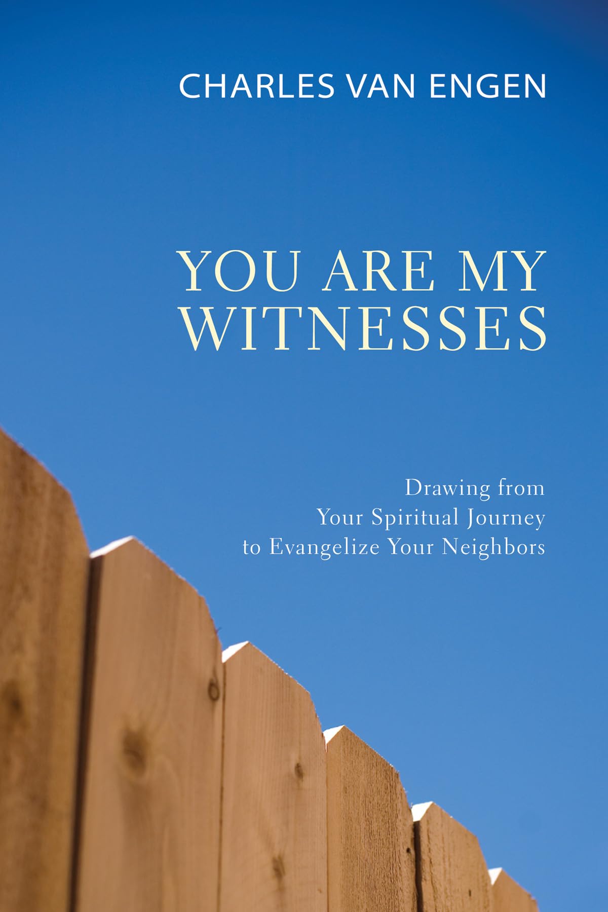 You Are My Witnesses: Drawing from Your Spiritual Journey to Evangelize Your Neighbors,Used
