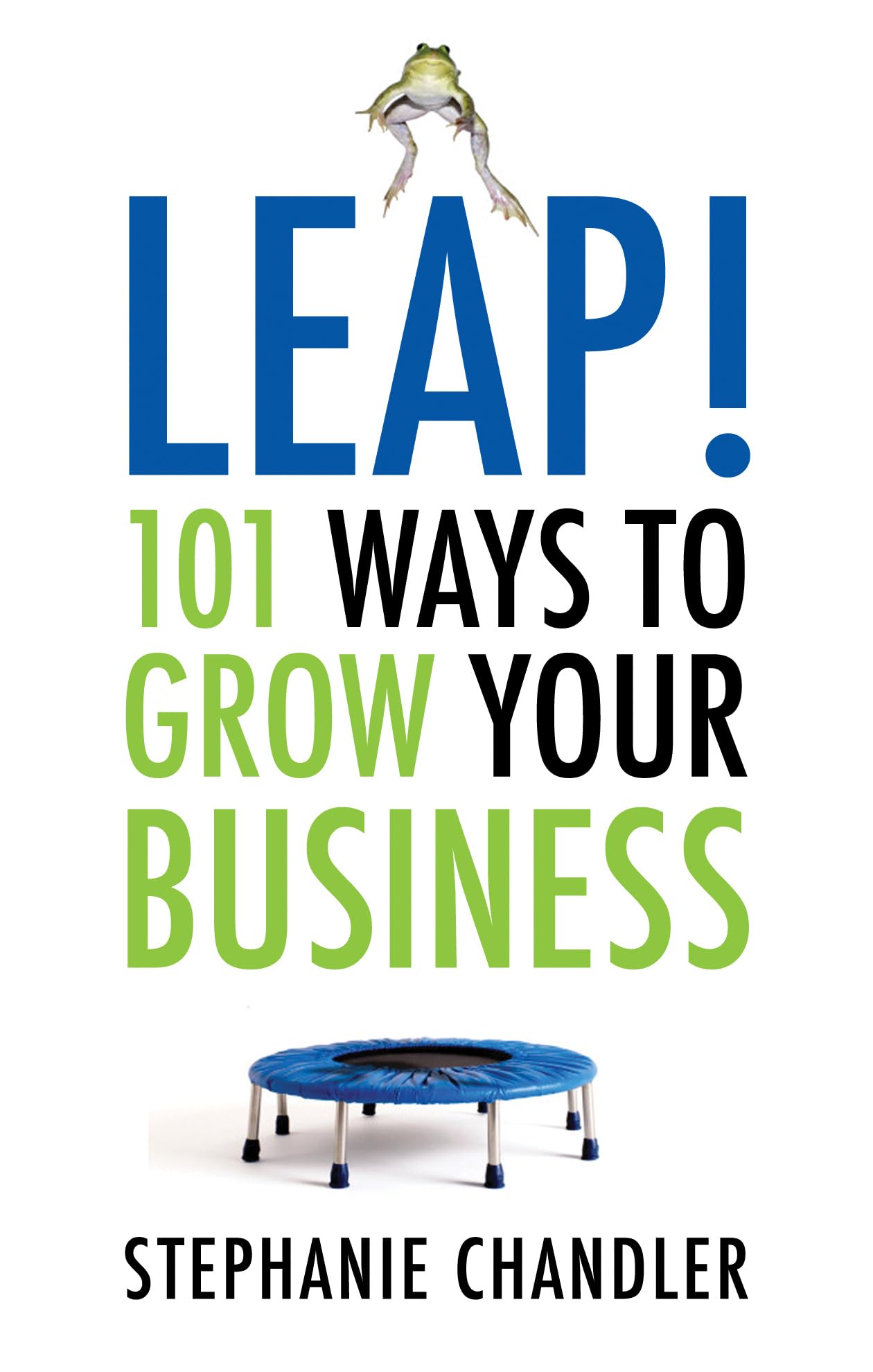 Leap! 101 Ways to Grow Your Business,Used