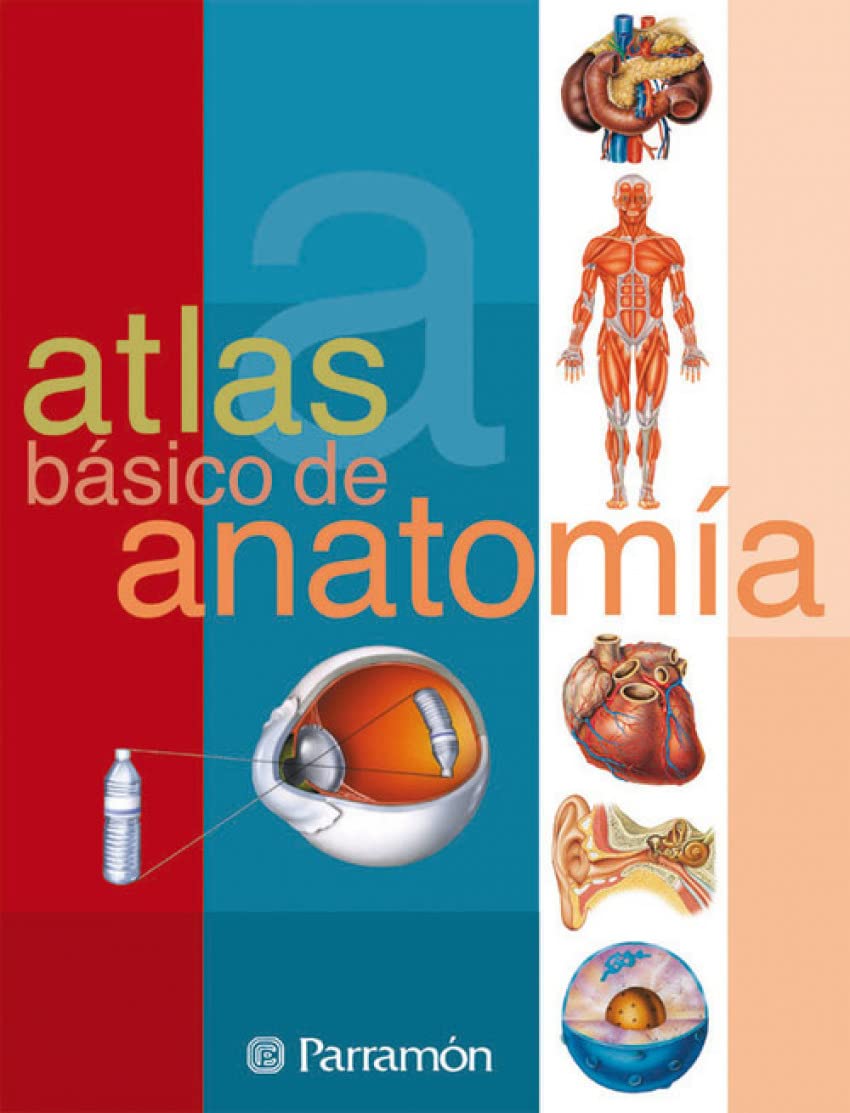 Atlas bsico de anatoma (Spanish Edition),Used
