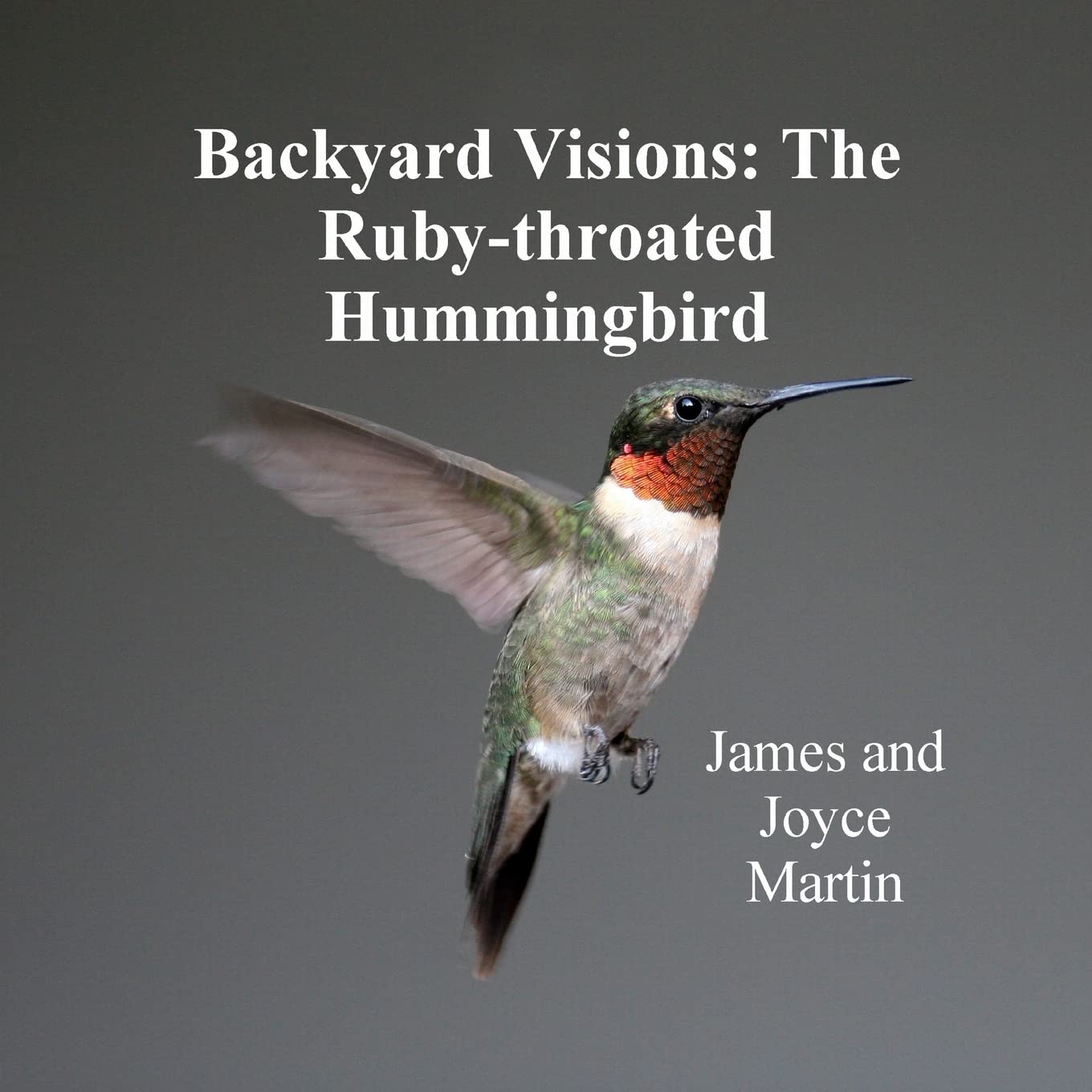 Backyard Visions: The Rubythroated Hummingbird,Used