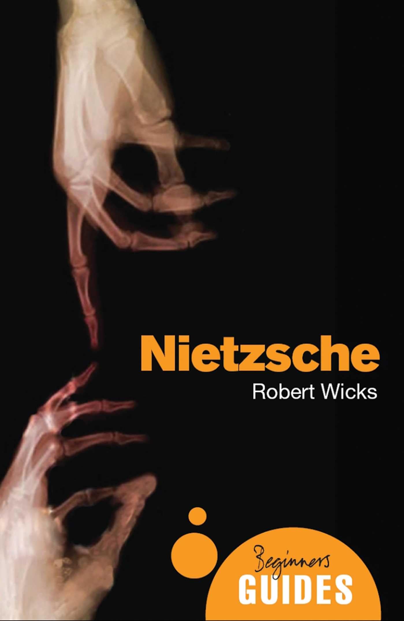 Nietzsche: A Beginner's Guide (Beginner's Guides),Used