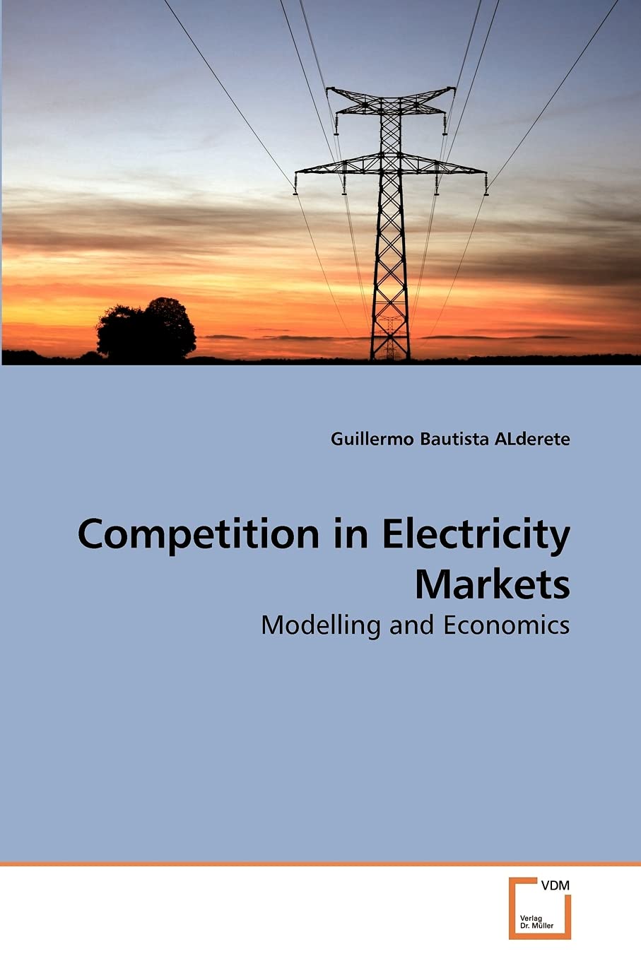 Competition in Electricity Markets: Modelling and Economics,Used