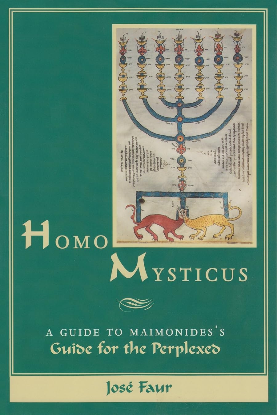 Homo Mysticus: A Guide To Maimonides'S Guide For The Perplexed,Used