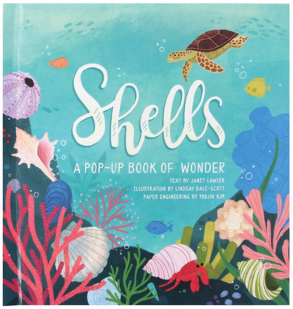 Shells: A Popup Book Of Wonder