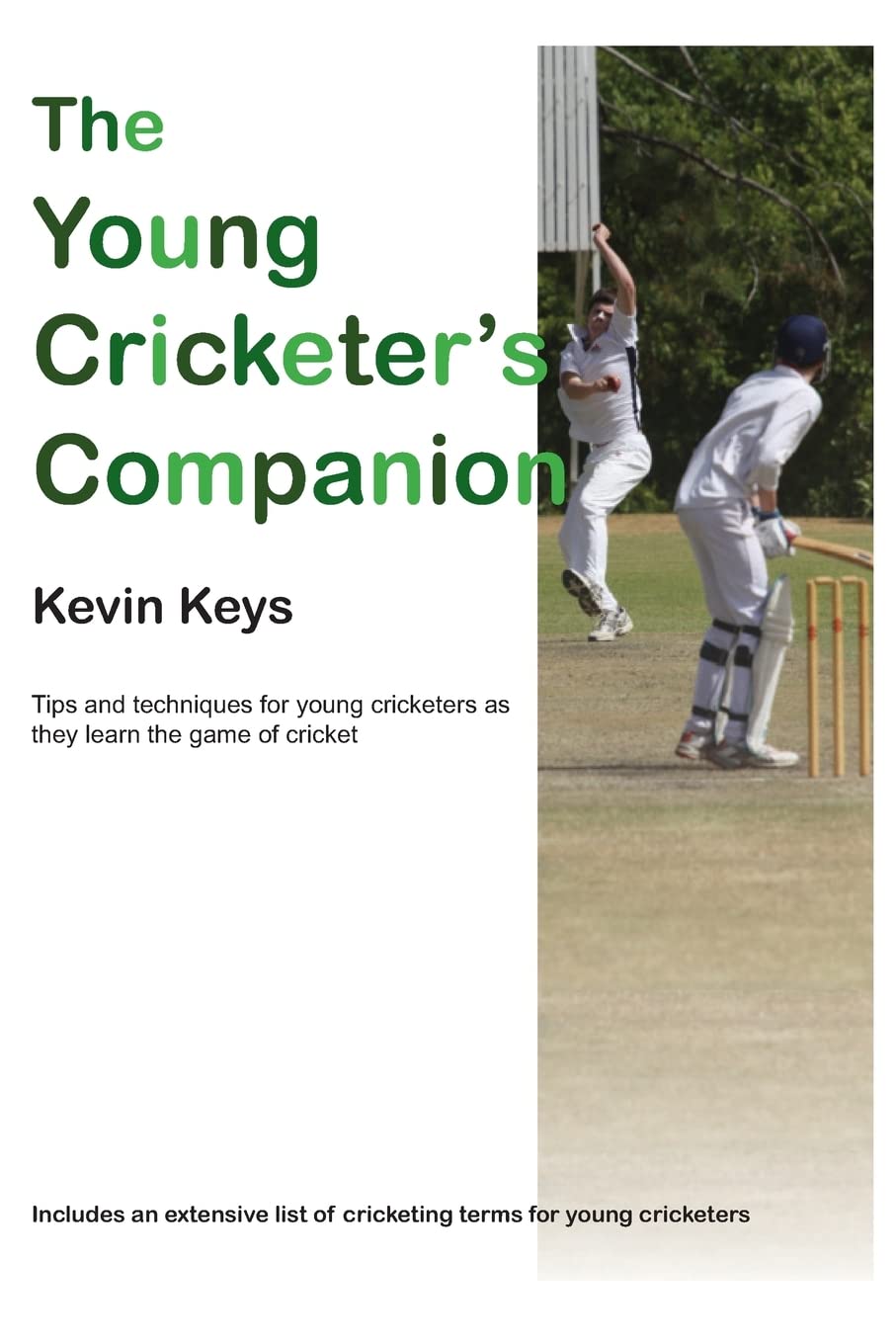 The Young Cricketer's Companion,Used