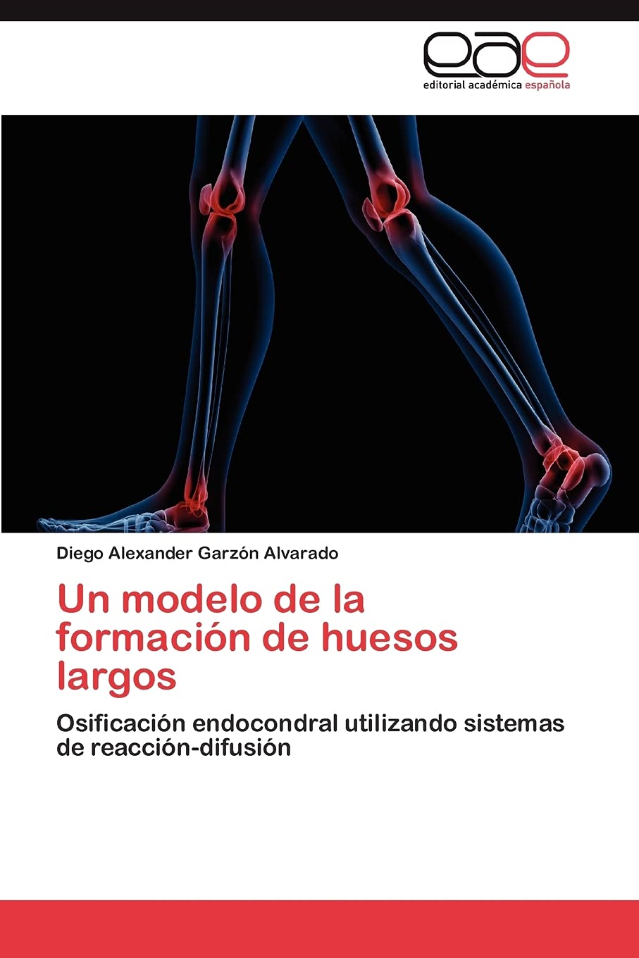 Un modelo de la formacin de huesos largos: Osificacin endocondral utilizando sistemas de reaccindifusin (Spanish Editio,Used