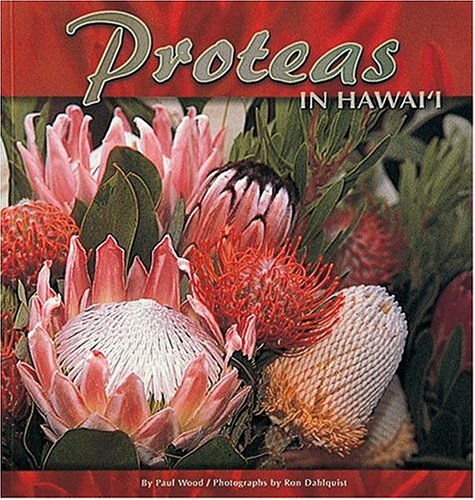Proteas in Hawaii,New