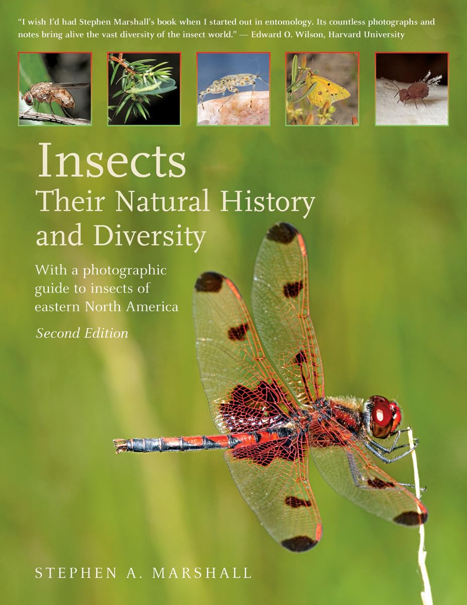 Insects: Their Natural History and Diversity: With a Photographic Guide to Insects of Eastern North America,Used