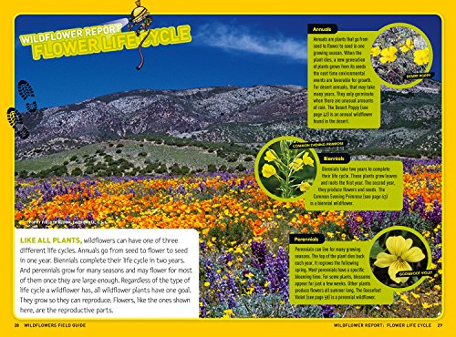 Ultimate Explorer Field Guide: Wildflowers,Used