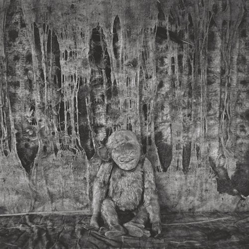 Roger Ballen: Boarding House,New