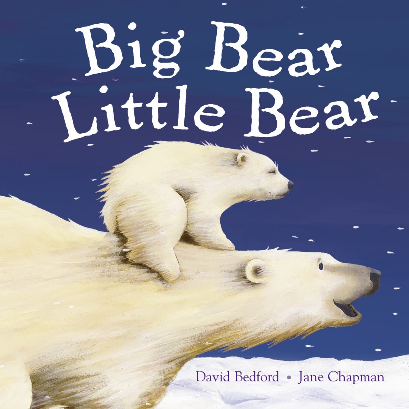 Big Bear Little Bear. David Bedford & Jane Chapman,Used