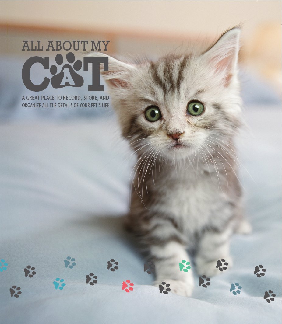 All About My Cat,Used
