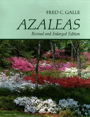 Azaleas,Used