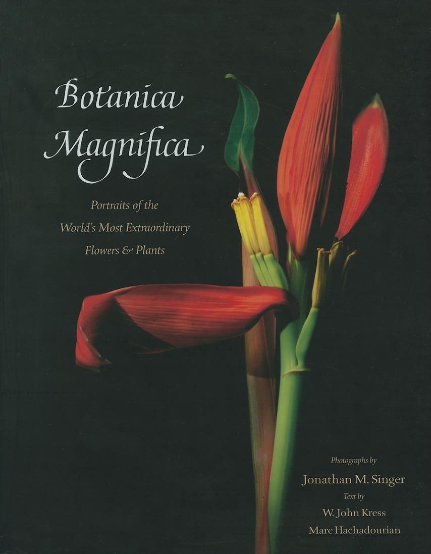 Botanica Magnifica: Portraits of the World's Most Extraordinary Flowers and Plants,Used