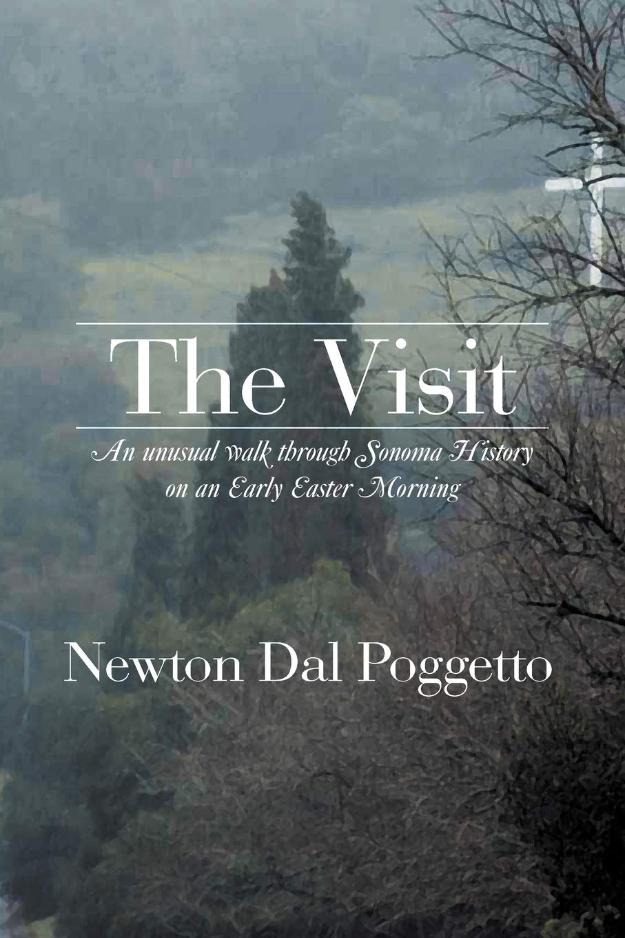 The Visit: An Unusual Walk Through Sonoma History On An Early Easter Morning,Used