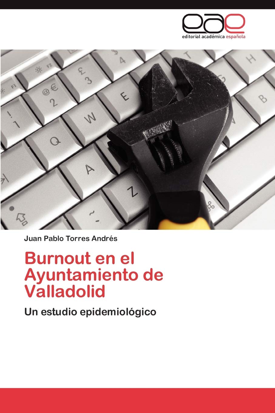 Burnout en el Ayuntamiento de Valladolid: Un estudio epidemiolgico (Spanish Edition),Used