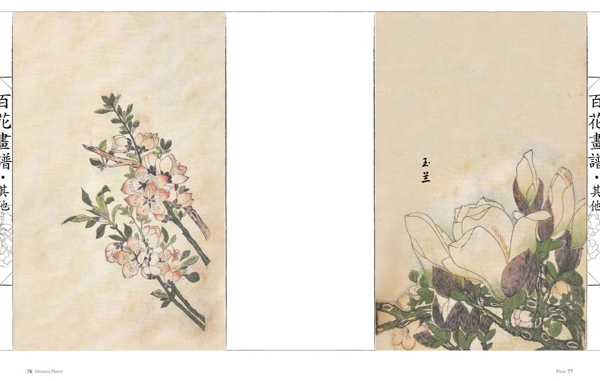 Oriental Flowers: Chinese Brush Paintings,Used