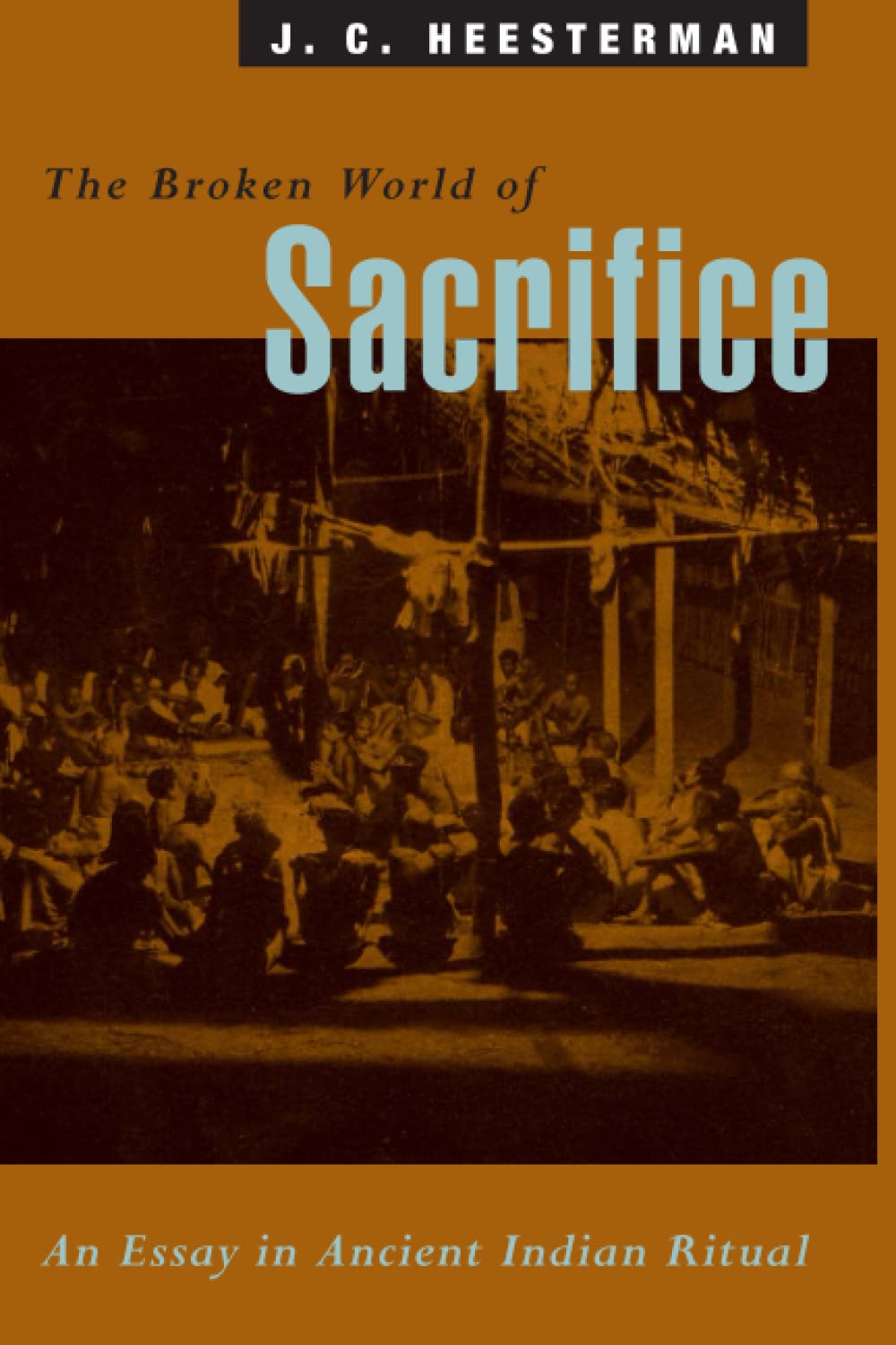 The Broken World Of Sacrifice: An Essay In Ancient Indian Ritual,New