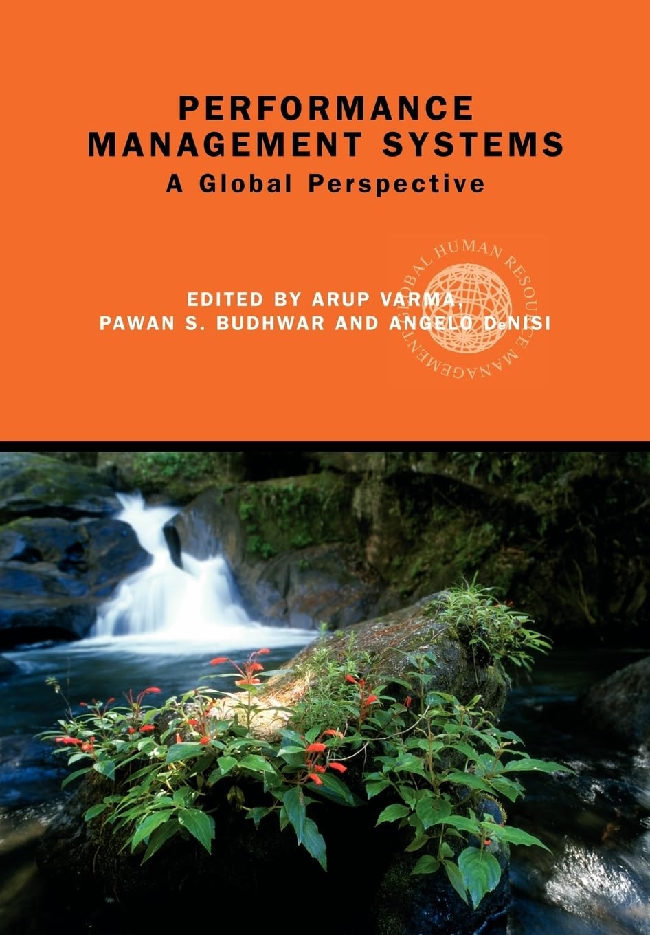 Performance Management Systems (Global HRM),Used