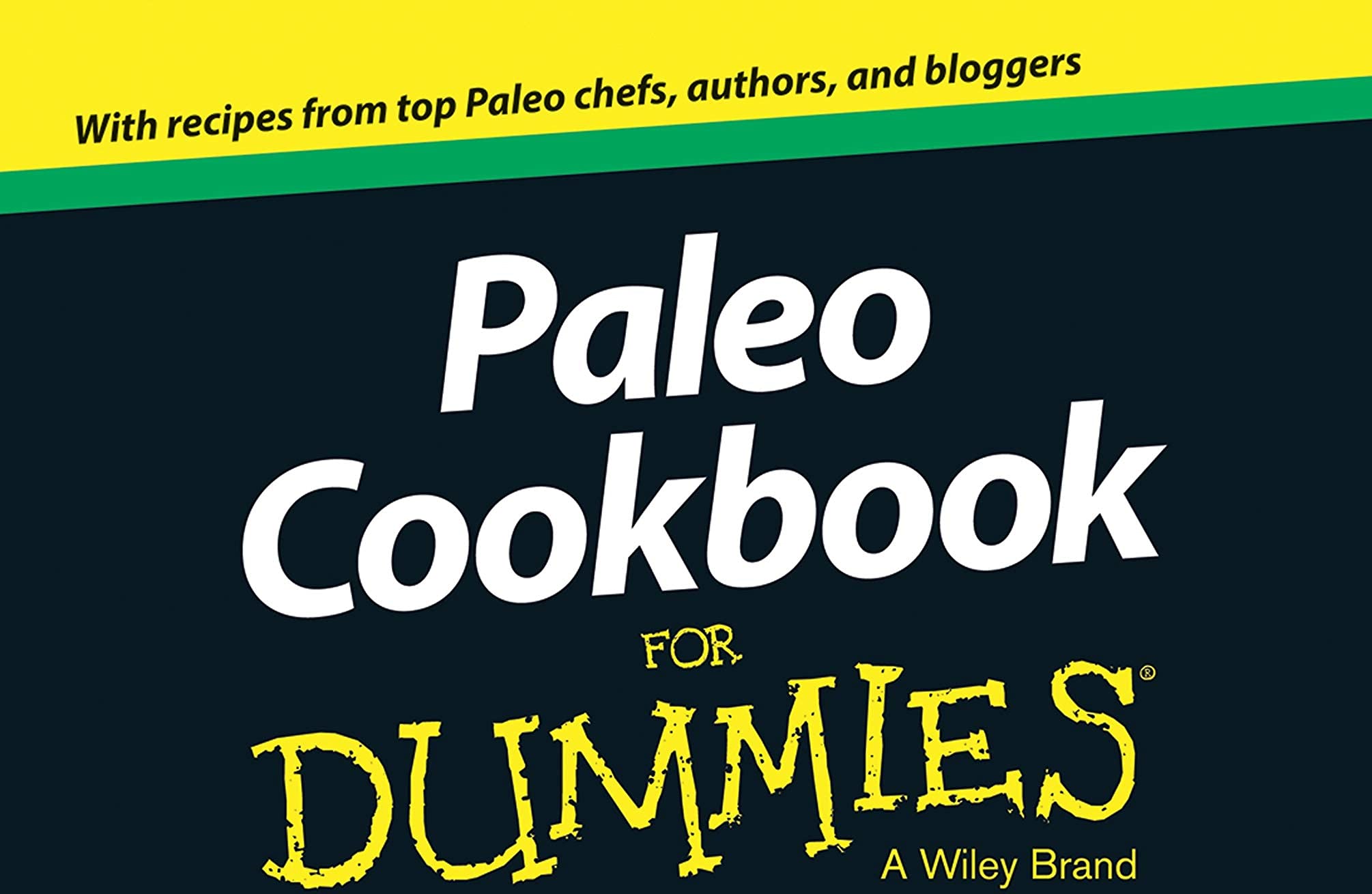 Paleo Cookbook for Dummies,Used