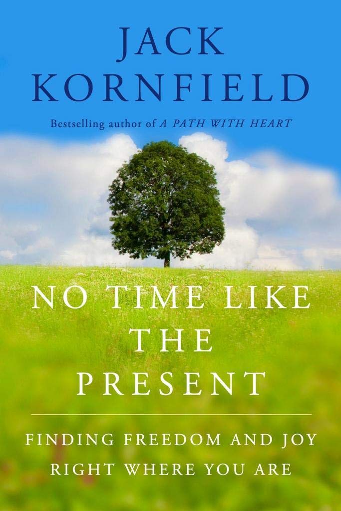 No Time Like the Present: Finding Freedom, Love, and Joy Right Where You Are,Used